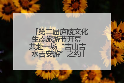 第二届庐陵文化生态旅游节开幕 共赴一场“吉山吉水吉安游”之约