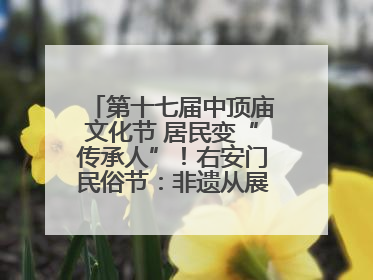 第十七届中顶庙文化节 居民变“传承人”！右安门民俗节：非遗从展柜走进烟火气