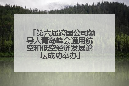 第六届跨国公司领导人青岛峰会通用航空和低空经济发展论坛成功举办