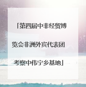 第四届中非经贸博览会非洲外宾代表团考察中伟宁乡基地