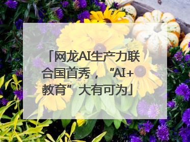 网龙AI生产力联合国首秀，“AI+教育”大有可为