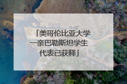 美哥伦比亚大学一亲巴勒斯坦学生代表已获释