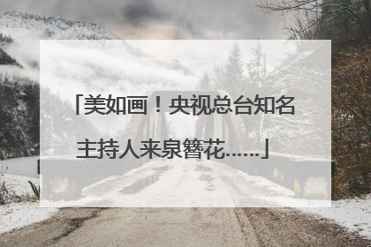 美如画！央视总台知名主持人来泉簪花……