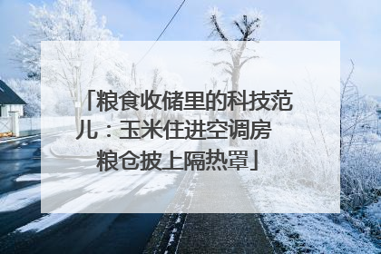 粮食收储里的科技范儿：玉米住进空调房 粮仓披上隔热罩
