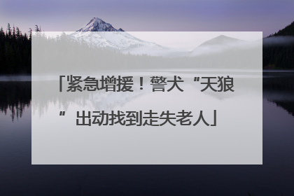 紧急增援！警犬“天狼”出动找到走失老人