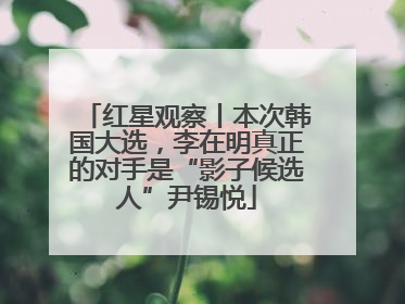 红星观察丨本次韩国大选，李在明真正的对手是“影子候选人”尹锡悦
