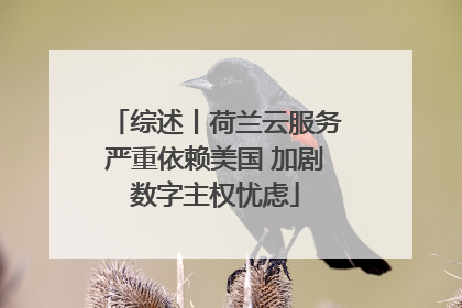 综述丨荷兰云服务严重依赖美国 加剧数字主权忧虑