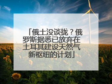 俄土没谈拢？俄罗斯据悉已放弃在土耳其建设天然气新枢纽的计划