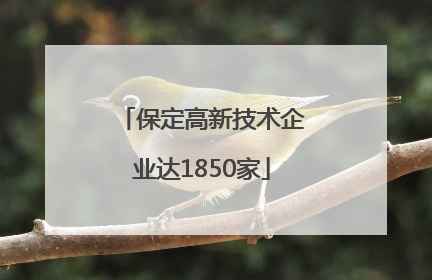 保定高新技术企业达1850家