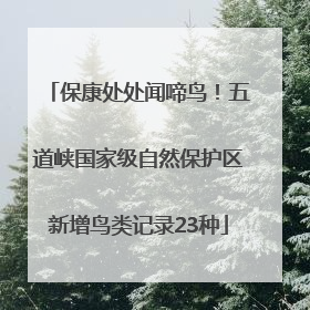 保康处处闻啼鸟！五道峡国家级自然保护区新增鸟类记录23种