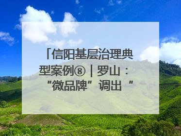 信阳基层治理典型案例⑧｜罗山：“微品牌”调出“大和谐”