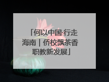 何以中国·行走海南｜侨校飘茶香 职教新发展