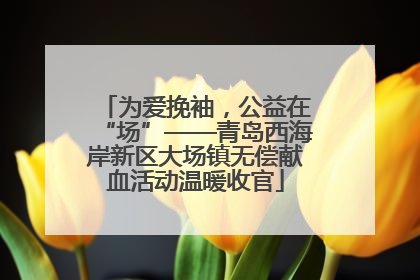 为爱挽袖，公益在“场”——青岛西海岸新区大场镇无偿献血活动温暖收官