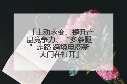 主动求变、提升产品竞争力、“多条腿”走路 跨境电商新大门在打开