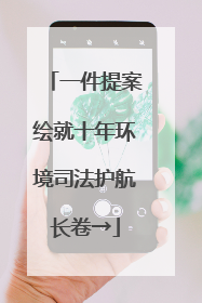 一件提案绘就十年环境司法护航长卷→