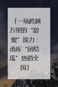 一场跨越万里的“甜蜜”接力：甬库“团结瓜”热销全国