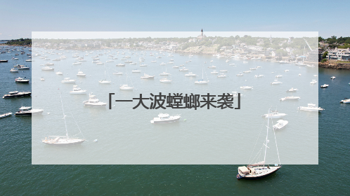一大波螳螂来袭