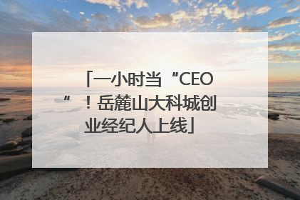一小时当“CEO”！岳麓山大科城创业经纪人上线
