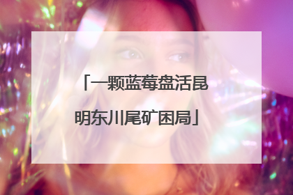 一颗蓝莓盘活昆明东川尾矿困局