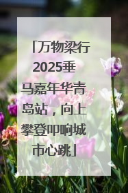 万物梁行2025垂马嘉年华青岛站，向上攀登叩响城市心跳