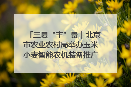 三夏“丰”景｜北京市农业农村局举办玉米小麦智能农机装备推广“田间日”活动