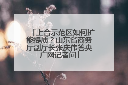 上合示范区如何扩能提质？山东省商务厅副厅长张庆伟答央广网记者问