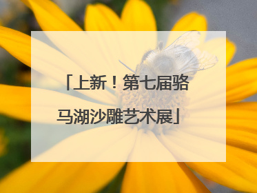 上新！第七届骆马湖沙雕艺术展