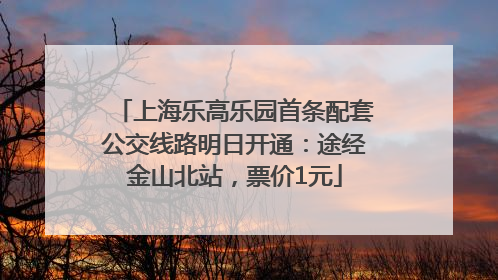 上海乐高乐园首条配套公交线路明日开通：途经金山北站，票价1元