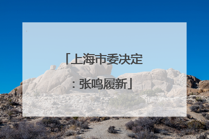 上海市委决定：张鸣履新