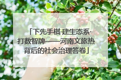 下先手棋·建生态系·打数智牌——河南文旅热背后的社会治理答卷