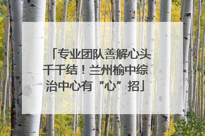 专业团队善解心头千千结！兰州榆中综治中心有“心”招