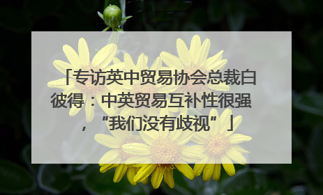 专访英中贸易协会总裁白彼得：中英贸易互补性很强，“我们没有歧视”