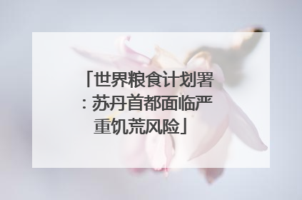 世界粮食计划署：苏丹首都面临严重饥荒风险