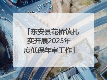 东安县花桥镇扎实开展2025年度低保年审工作