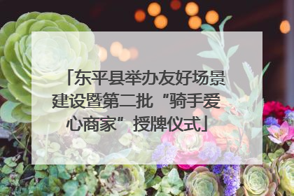 东平县举办友好场景建设暨第二批“骑手爱心商家”授牌仪式
