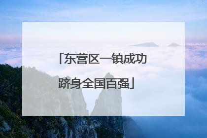 东营区一镇成功跻身全国百强