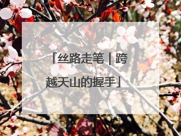 丝路走笔｜跨越天山的握手