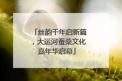 丝韵千年启新篇，大运河蚕桑文化嘉年华启幕