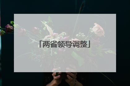 两省领导调整