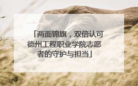 两面锦旗，双倍认可德州工程职业学院志愿者的守护与担当