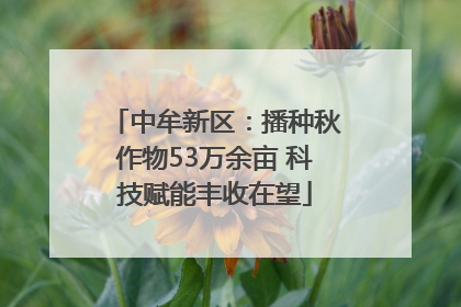 中牟新区：播种秋作物53万余亩 科技赋能丰收在望
