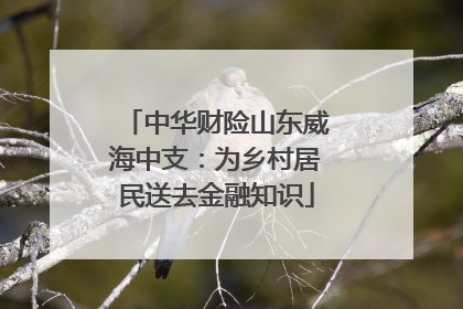 中华财险山东威海中支：为乡村居民送去金融知识