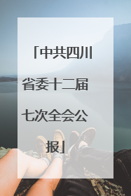 中共四川省委十二届七次全会公报