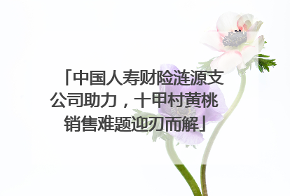 中国人寿财险涟源支公司助力，十甲村黄桃销售难题迎刃而解
