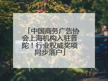 中国商务广告协会上海机构入驻普陀！行业权威奖项同步落户