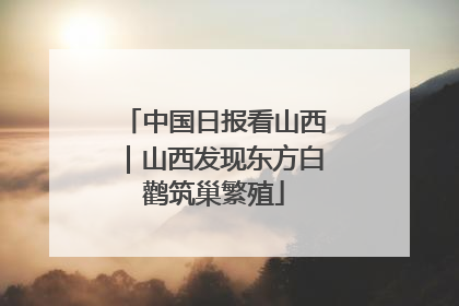 中国日报看山西｜山西发现东方白鹳筑巢繁殖