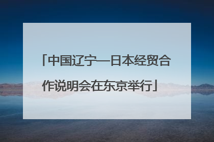 中国辽宁—日本经贸合作说明会在东京举行