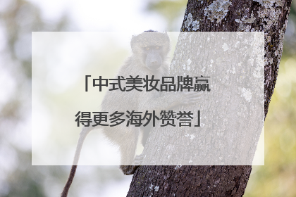 中式美妆品牌赢得更多海外赞誉