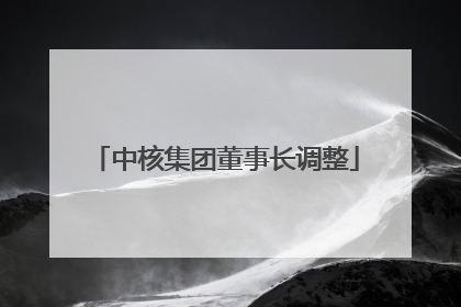 中核集团董事长调整