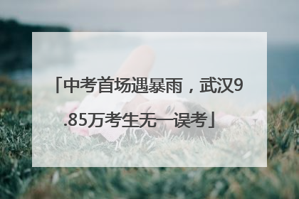 中考首场遇暴雨，武汉9.85万考生无一误考